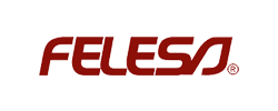 Felesa-Logo