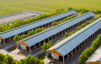 Soluções da Saint-Gobain melhoram o desempenho do agronegócio